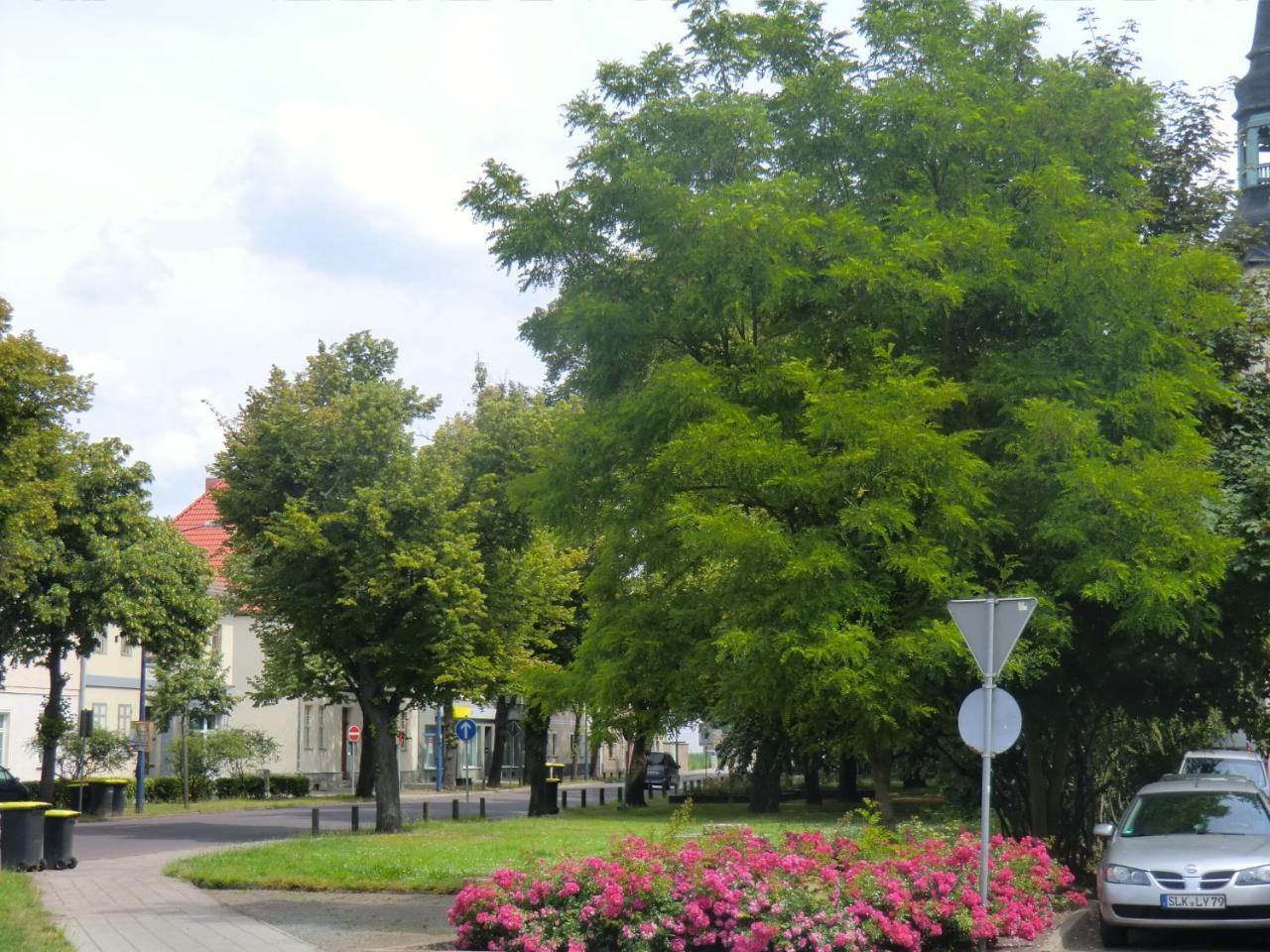 Ferienwohnung Rosenflair Schonebeck  Bagian luar foto